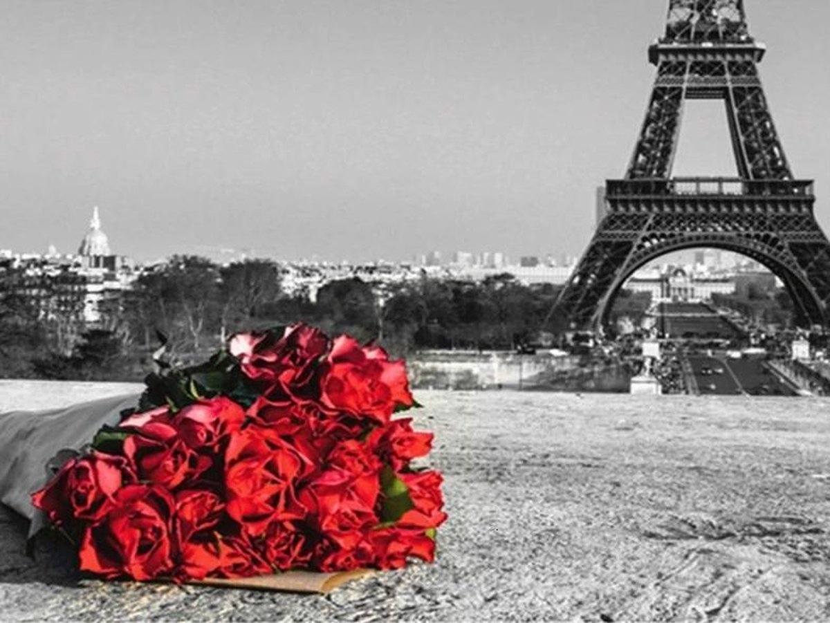 Diamont Painting volwassenen | Volledig pakket | 30 X 40 | Vierkante steentjes|Diamant Painting Eiffeltower Red Rose